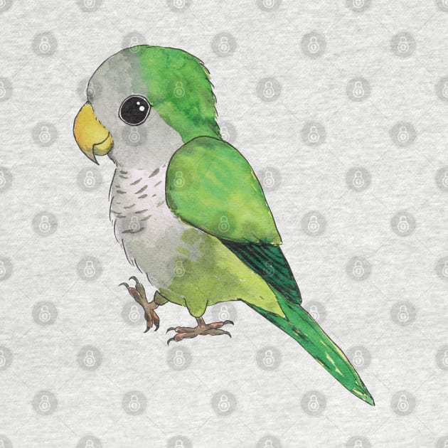 Very cute green parrot by Bwiselizzy